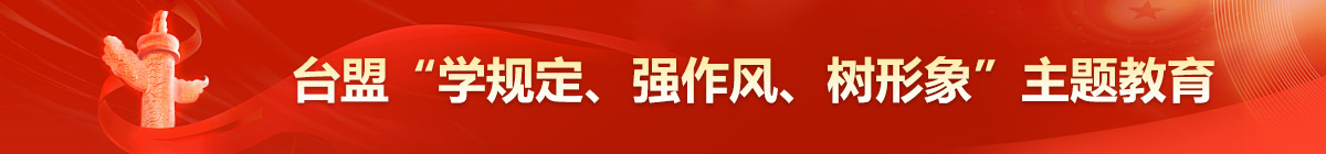 台盟“学规定、强作风、树形象”主题教育